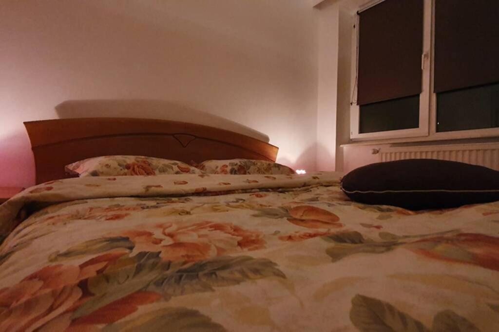 Titian'S Cozy Apartment Sibiu Exterior foto